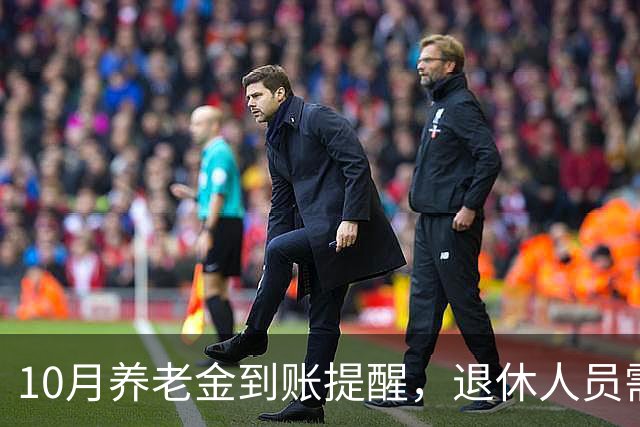 10月养老金到账提醒，退休人员需核实三项重要内容